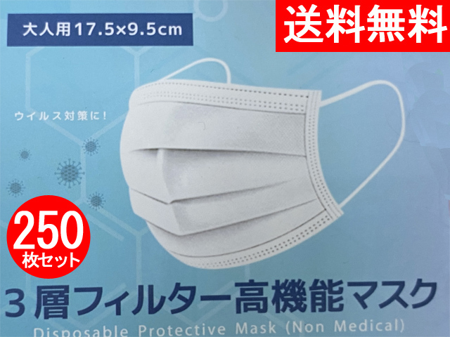 【補助金制度あり】【送料無料】マスク 250枚入り 使い捨てマスク 不織布マスク 花粉症マスク ウイルス対策マスク ウィルス対策マスク 口罩 MASK