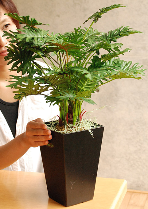 光触媒 観葉植物 カフェ 玄関 インテリア 造花 人工観葉植物 スプリットフィロ 高さ53cm