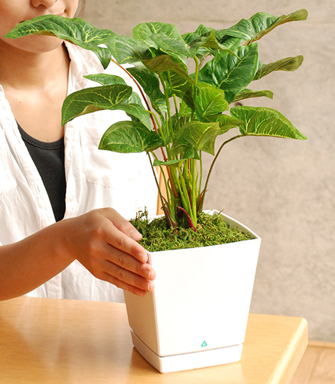 光触媒 観葉植物 カフェ 玄関 インテリア 造花 人工観葉植物 ネフティ 高さ42cm