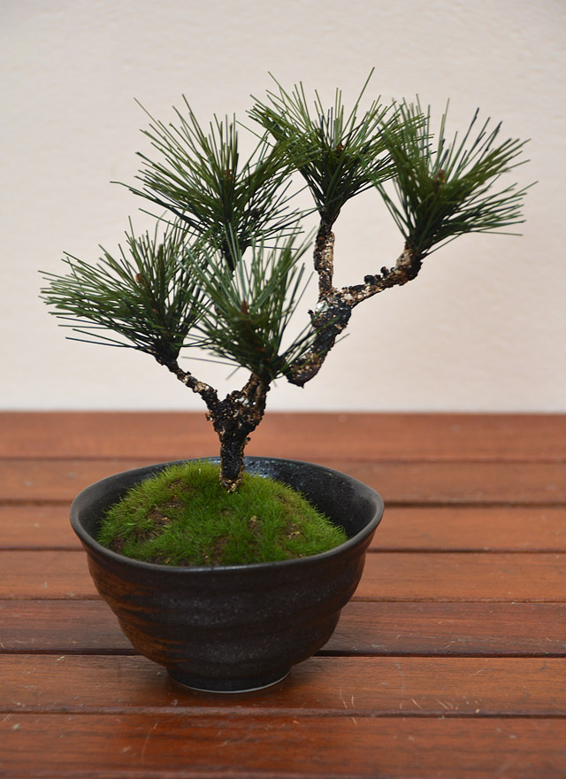 盆栽 ミニ盆栽 松 H170mm フェイクグリーン 観葉植物 人工観葉植物 造花 BONSAI ボンサイ